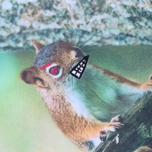 image of a really angry squirrel edited rather badly